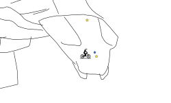 squished ant