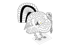 Gobble Gobble