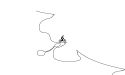 Track
