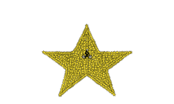 Lone Star