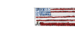 🇺🇸flag🇺🇸