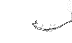 Grassy sneak peak