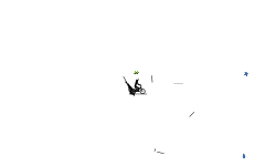press shift (auto)