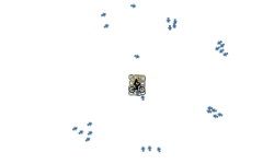 99 Round