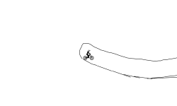 Cave Wheelie