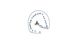 loop ded loop