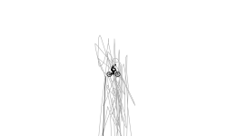 fun with gravity