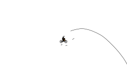 wheelie or heli
