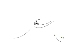 both bike auto