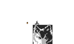 Canis Lupus
