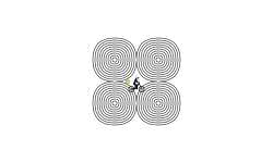 Illusion