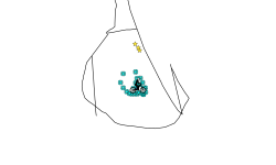 Poorly made dog :D