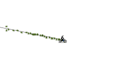 wheelie