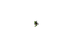 heli auto