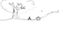 Fall