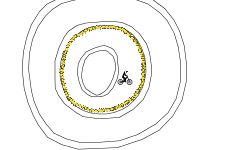 circle O