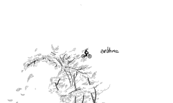 some detail