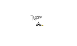 Test 1