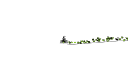 Long and