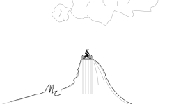 spine