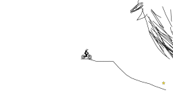 bird bird