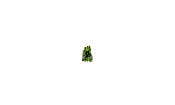 boost trail 5 space man