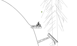 forest run