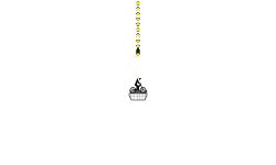 30 star jump