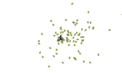 100 star auto