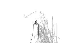 scrible drop!