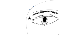 Eye Face