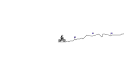 Climb/Downhill #4