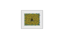Mini square