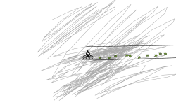 Fast