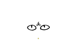 eyes in the dark.......