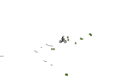 Wild Auto