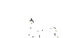 harvz bomb II