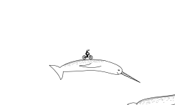 Narwhals Part 2