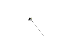 WEEEEEE!!!!!!!!