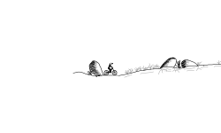 Rock course