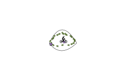 the crazy blob