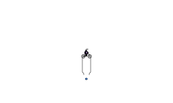 The Tiniest