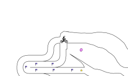 release 1