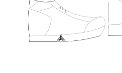 shoe