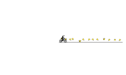 press UP ARROW