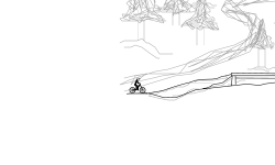 Forest Trail