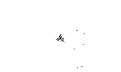 Quick Fill in