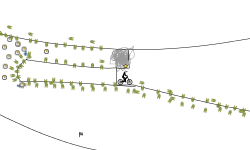 Normal level