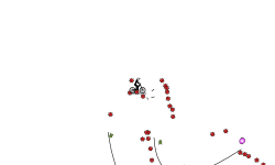 auto..?