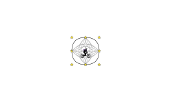 Cool Circle